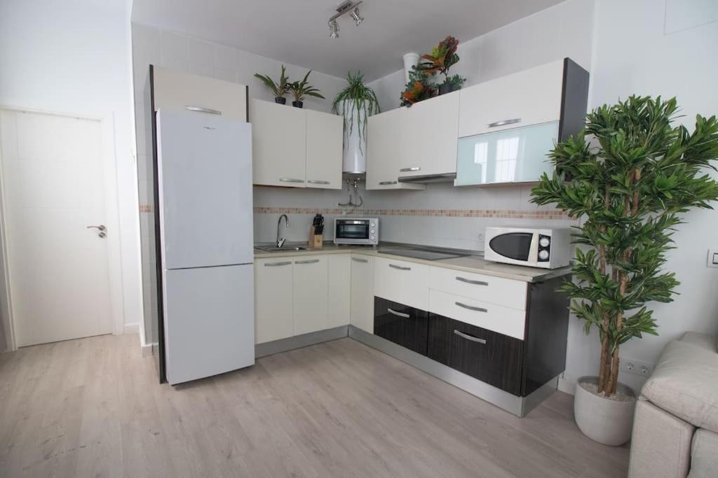 דירות מאלגה Trinidad Aparment מראה חיצוני תמונה