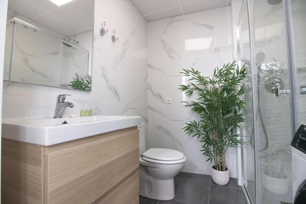 דירות מאלגה Trinidad Aparment מראה חיצוני תמונה